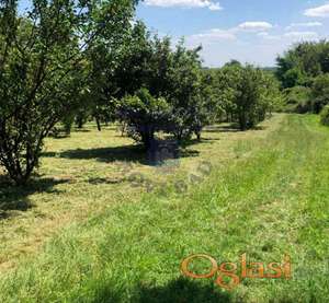 Plac,odlican u Cortanovcima