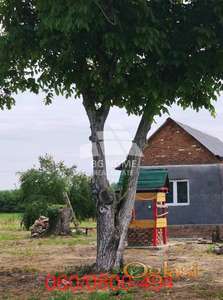 Kuća sa placem 26 ari -Obrenovac, Poljane ID#3803