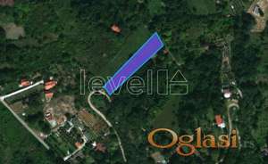 PETROVARADIN - ALIBEGOVAC - 1801.00 m2