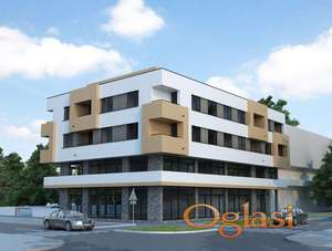 Bulevar patrijarha Pavla,  Lokal