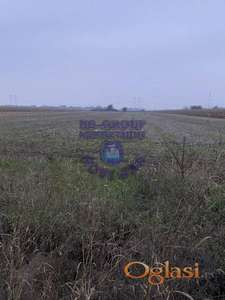 Odličan ravan plac na ulazu u Bački Jarak!