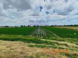 Odličan gradjevinski plac površine 570m2 u Futogu