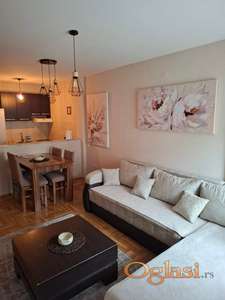 **Izdaje se dvosoban stan, 50m² – Podbara, Ulica Marka Miljanova, Novi Sad**