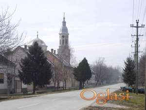 Poljoprivredno zemljište-950 stabala lešnika