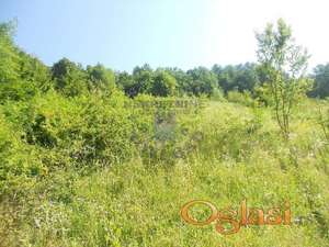 Poljoprivredno zemljište u vikend zoni na prodaju