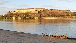 Šetanje pasa, pre i poslepodne