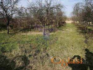 541503-Predstavljamo Vam odličan plac u Novim Ledincima.