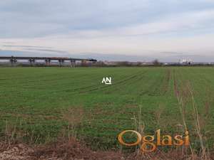 Surčin, Dobanovci, placevi za investiciju ID#28676