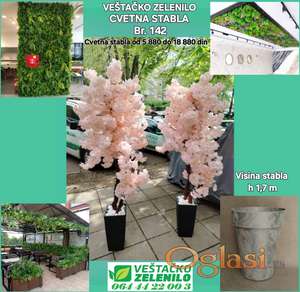 Cvetna stabla Br. 142