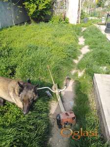 Kosenje i odrzavanje zelenih povrsina Novi Sad