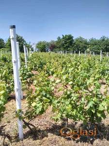 PRODAJA PLACA U GRAĐEVINSKOM PODRUČJU, PUCKAROŠ