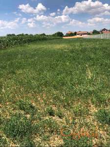 GARDINOVCI – ZEMLJIŠTE IDEALNO ZA VOĆNJAK