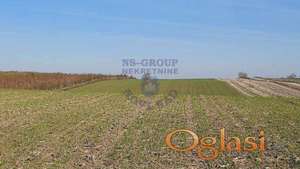 Poljoprivredno zemljište u Malom Idjosu!