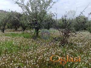 Plac 1502m2 Kamenicke livade