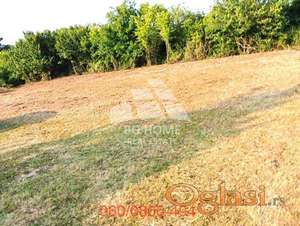 Plac od 12.5 ara-Surčin-Ledine, Sremskih partizana ID#3403