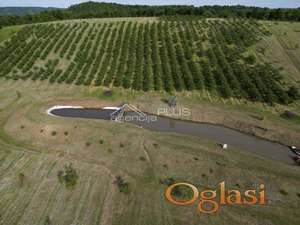 Raj na zemlji kod Kragujevca ID#1187