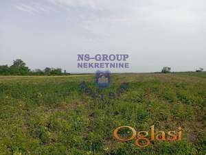 Plac u Cortanovcima !