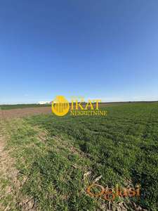 Nova Pazova plac 63 ara, pogodno za više namena ID#5005