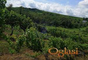 Odlican plac u Banostoru 7931m2