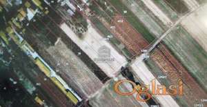 Belegiš, Stara Pazova ID#7521