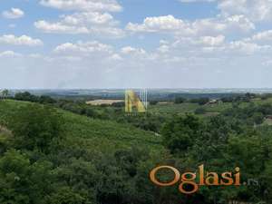 Pogled na padine Fruške gore i Vojvodinu - Zanoš