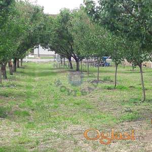 Odličan plac u Temerinu