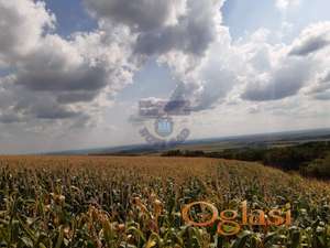Poljoprivredno zemljište uknjiženo 1/1 na vlasnika. -ADRIJANA-0631678412