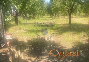 Poljoprivredno zemljište - Futog