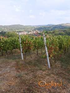 Prodajem plac u Beočin selu od 3944m2 za mnoge namene zbog dobre pozicije