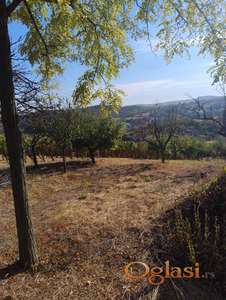 Prodajem plac u Beočin selu od 3944m2 za mnoge namene zbog dobre pozicije