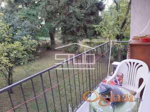 Jednoiposoban, uknjižen, Bele vode ID#1408