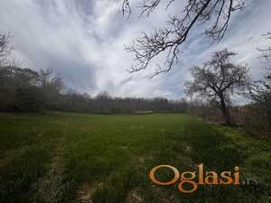Poljoprivredno zemljište 4.536m2 Krušedol