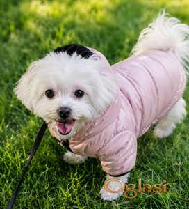 Maltezer
