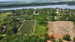 Krčedin Građevinsko zemljište 2899m2 HITNO!