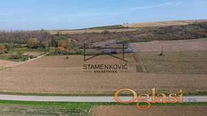 Sviloš- u blizini glavnog puta ID#6979