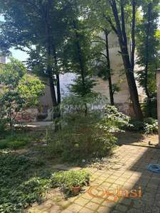 Stari Grad, Skupština, Majke Jevrosime ID#2715