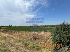 Poljoprivredno zemljište na odličnoj lokaciji, na potezu izmedju Novog sada