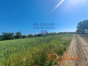 Dobar plac kod Futoga