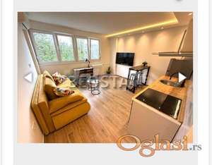 Novi Beograd - Opština #66918