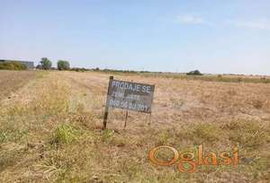 Dobanovci-gradjevinsko zemljiste 103 ara