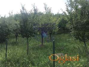 Odlican plac u Sremskoj Kamenici!