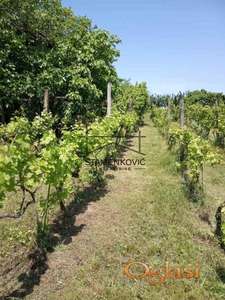 Vikendica u Berkasovu ID#6981