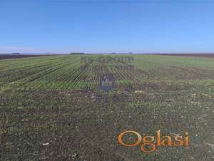 Srbobran Zemljište poljoprivredno 27.138m2!
