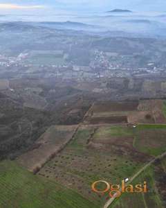 Poljoprivredno zemljište 3,2 ha – Grocka, Cigansko brdo | Put, navodnjavanje, zasad kruške