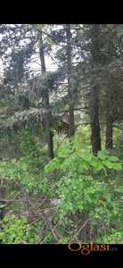 Plac u Gucatima na prodaju, 880 ari