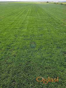 Poljoprivredno zemljiste-Rumenka