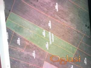 Prodajem zemlju Podglavice-Danilovgrad