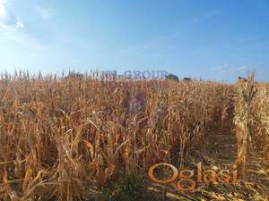 Odličan plac za izgradnju kuće