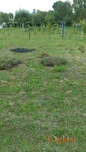 Plac 560 m2 Petrovaradin