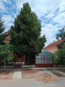 Spratna kuća i stan, Ivana Jakšića